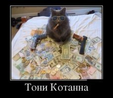 Котейка рубль бережет