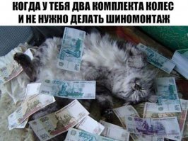 Котейка рубль бережет