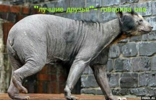 Намешалось