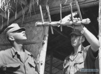 В лучших традициях вьетконга.