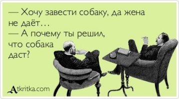 Хочу завести собаку
