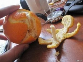 Прикольные и смешные картинки
