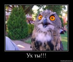 Космическая страда тракториста Наполова