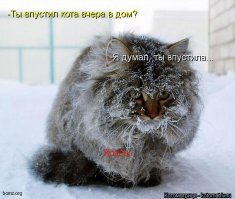 Свежая подборка демотиваторов, которые поднимут вам настроение