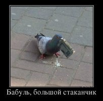 Демотивмруй