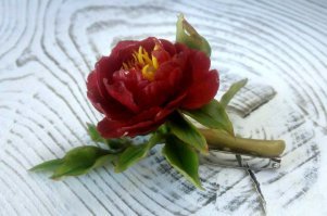 Вот этот пион я ещё поверю, что сделали сами. А то, что в посте - фальсификация чистой воды. Не стыдно самой? Я смотрел ваши работы Вконтакте - отчётливо видно, где ваша работа, а где фейк.