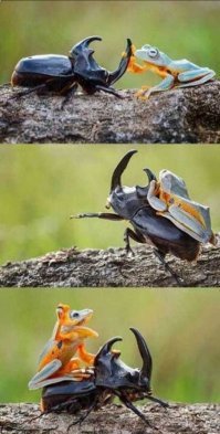 Картинки с надписями для настроения