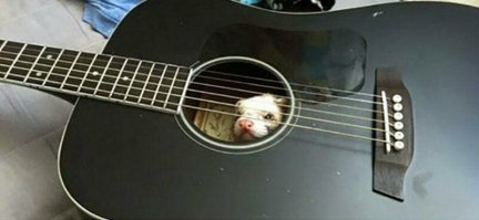 придется ждать, когда это существо обратится в прах, чтобы аккуратно высыпать.