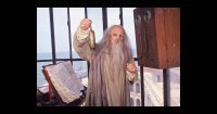Прикольные и смешные картинки