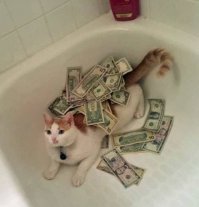 Котейка рубль бережет