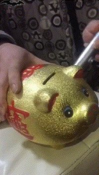 Новая криминальная "профессия" - поросятник - грабитель копилок.