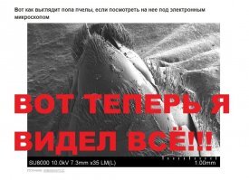 Обычные вещи окружающего мира в объективе неординарных людей