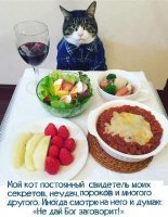 Котэ грустит, коте не жрёт всю эту гадость!