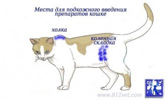 Вода в холке подогревается .. надо запомнить