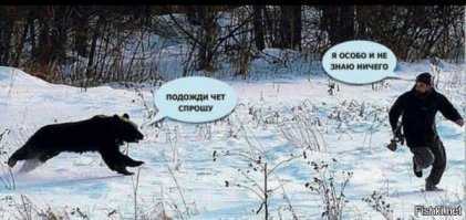 Трехлетний малыш заблудился в лесу, и его спас медведь