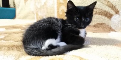 Нам пока 2 месяца, но мы уже седеем смотря телевизор.