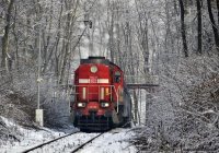 Это немецкие железные дороги ,на тепловозе DB (Deutschebahn) а польские со значком PKP