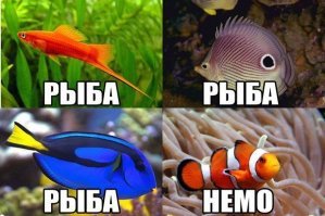 Победители конкурса подводной фотографии Ocean Art 2018