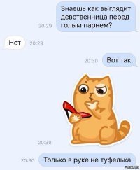 А я не понимаю кайфа в девственницах. 
Нет, ну, ясное дело, что то, что ты у неё первый и единственный, не может не радовать... 
Но в противовес идут многие весьма неприятные факторы - зажатость (каждый человек чувствует себя неуютно, когда в первый раз предстоят какие-то манипуляции с собственным телом. А тут - вообще с незнакомым мужиком...),2 не скажет, что и как нравится, потому как сама не знает ещё; вряд ли владеет какими-либо техниками, доставляющими мужчине удовольствие... Кроме того, статистика говорит, что только 5% девушек получают удовольствие от первого интима. Нахрен такое надо? Ну, только если уже пресыщен всеми видами интима, которые только можно найти