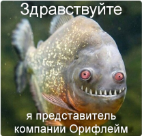 Прикольные и смешные картинки