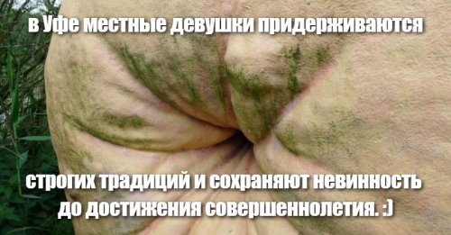 Бизнес вумен. Продам вторичную невинность