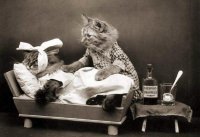 Прикольные и смешные картинки