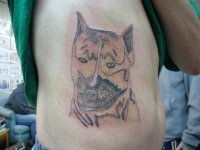Прикольные и смешные картинки