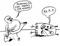Прикольные и смешные картинки