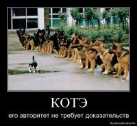Прикольные и смешные картинки