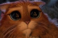 Прикольные и смешные картинки