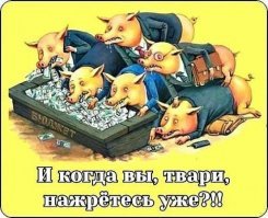 Застрелился бывший руководитель компании "Дальспецстрой", строивший космодром "Восточный"