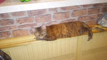 С ноября по март вот так