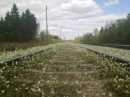 Романтическое железнодорожье