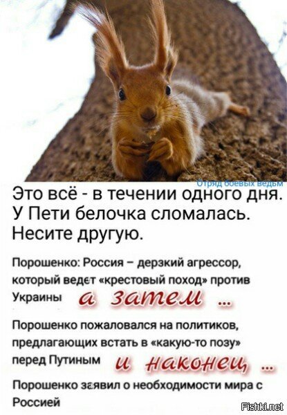Солянка для Майдана. Часть 238