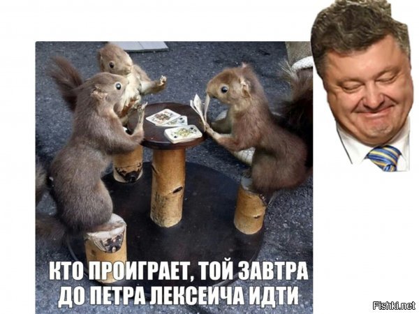 Солянка для Майдана. Часть 238