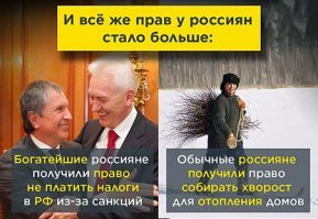 Жителей России начали штрафовать за неправильный сбор валежника