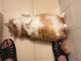 Ей всё равно как спать :)