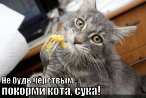 Прикольные и смешные картинки