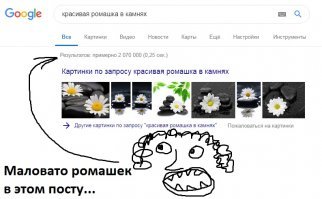 В Гугле аж два мильёна ромашек нашел!!!