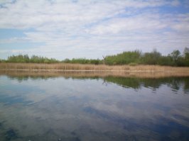 Очень люблю Тверскую область, в особенности Калязинский район. Река Волга, Волнушка, Нерль.  
Какие дивные места:
Лесов могучих край,
Река зовущая чиста -
Прохладу набирай.
Едва касаясь, ветерок
Верхушки шевелит.
Великолепия исток
По воздуху разлит.