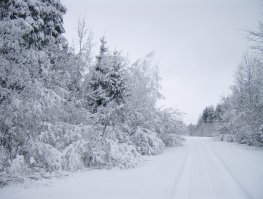 Очень люблю Тверскую область, в особенности Калязинский район. Река Волга, Волнушка, Нерль.  
Какие дивные места:
Лесов могучих край,
Река зовущая чиста -
Прохладу набирай.
Едва касаясь, ветерок
Верхушки шевелит.
Великолепия исток
По воздуху разлит.