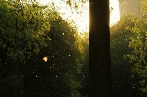 Фотограф по делам присел:)