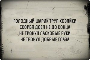 Зоолюб