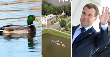 Херня наши покруче.