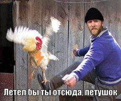 «Бойцовский клуб» в школе. Учительница судит