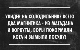 Воры не смогли засунуть телевизор в багажник угнанного автомобиля и вернули его в дом хозяев