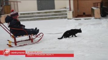 Жизнь - штука многогранная.
