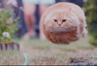 Картинки с надписями для настроения