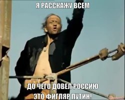 Жителей России начали штрафовать за неправильный сбор валежника