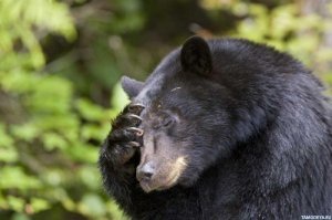 Бизнес вумен. Продам вторичную невинность